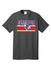 Nelson County Cardinals Tee